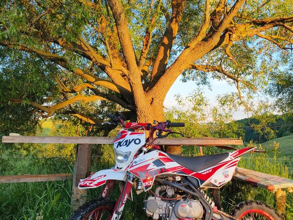 2023 Kayo Basic YX140EM, красный, 65000 рублей - вид 5
