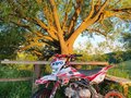 2023 Kayo Basic YX140EM, красный, 65000 рублей - вид 5