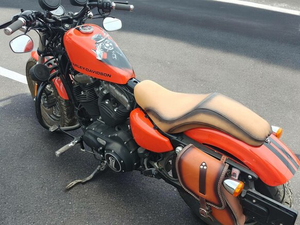 2011 Harley-Davidson Sportster 1200, оранжевый, 700000 рублей
