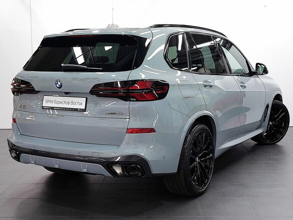 2025 BMW X5 40i IV (G05/G18) Рестайлинг, серый, 15350000 рублей - вид 5