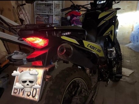 2024 Motoland Enduro 300, зелёный, 150000 рублей, вид 2