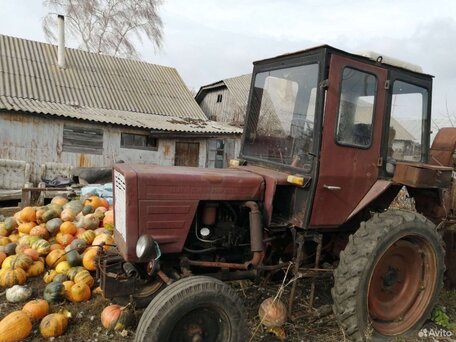 1982 ВТЗ Т-25А, 600000 рублей, вид 1