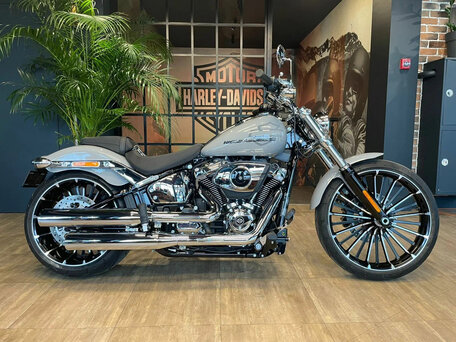 2025 Harley-Davidson Breakout, серый, 3750000 рублей, вид 1
