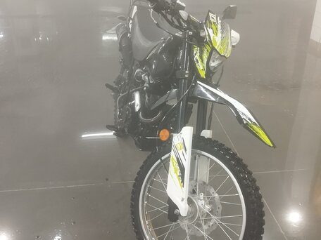 2020 Racer Panther, зелёный, 135000 рублей, вид 2