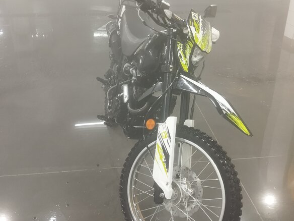 2020 Racer Panther, зелёный, 135000 рублей - вид 1