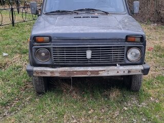 2004 Lada (ВАЗ) 2131 (4x4) I, серый, 70000 рублей, вид 1