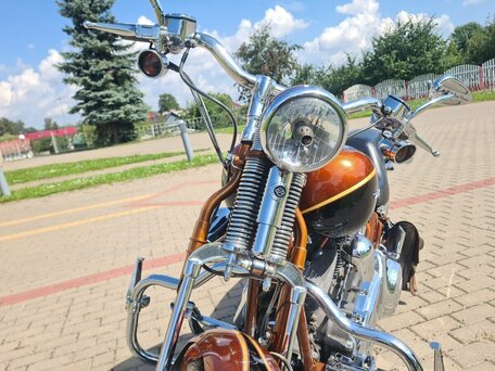 2008 Harley-Davidson CVO Softail Springer, чёрный, 2500000 рублей, вид 3