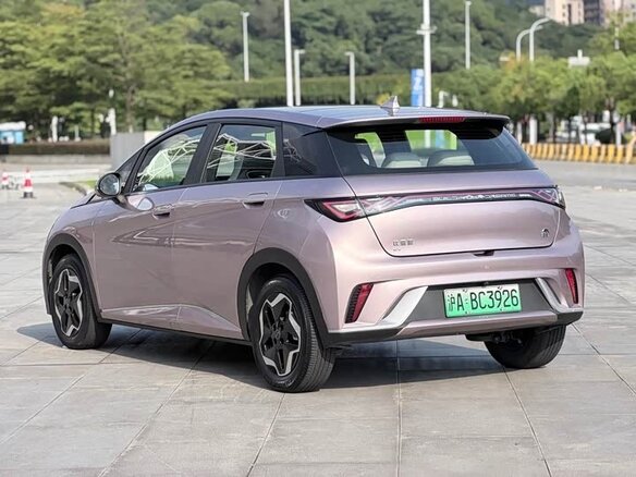 2022 BYD Dolphin 44.9 kWh I, розовый, 1300000 рублей - вид 3