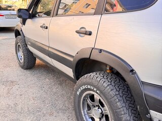 2004 Chevrolet Niva I, серебристый, 500000 рублей, вид 3