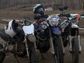 2019 Racer Panther, голубой, 65000 рублей - вид 1