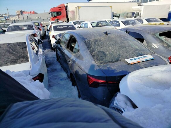 2022 Skoda Octavia IV (A8), серый, 816255 рублей - вид 3