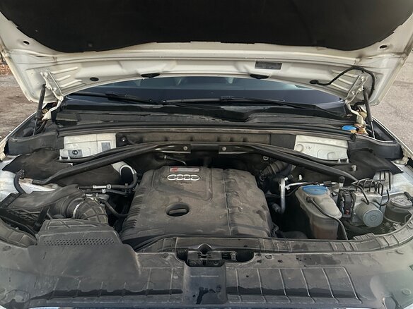 2010 Audi Q5 I (8R), белый, 1450000 рублей - вид 3