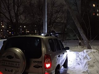 2007 Chevrolet Niva I, серый, 360000 рублей, вид 5