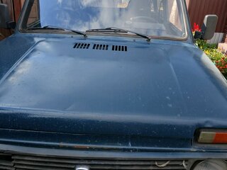 2000 Lada (ВАЗ) 2121 (4x4) I Рестайлинг, синий, 100000 рублей, вид 1
