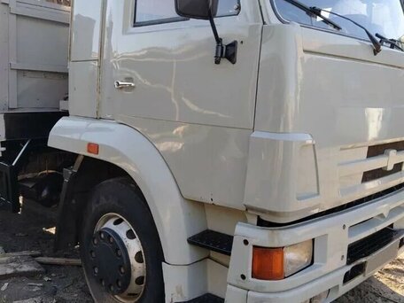 2005 КамАЗ 65117, серебристый, 3200000 рублей, вид 1