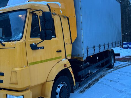 2024 КамАЗ 4308, жёлтый, 4950000 рублей, вид 2