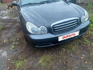 2008 Hyundai Sonata ТагАЗ IV (EF) Рестайлинг, серый, 600000 рублей, вид 1