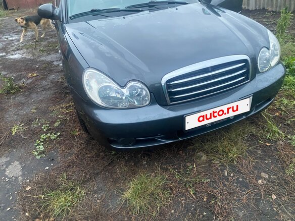 2008 Hyundai Sonata ТагАЗ IV (EF) Рестайлинг, серый, 600000 рублей