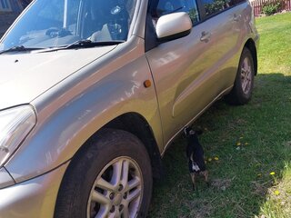 2001 Toyota RAV4 II (XA20), золотистый, 580000 рублей, вид 5