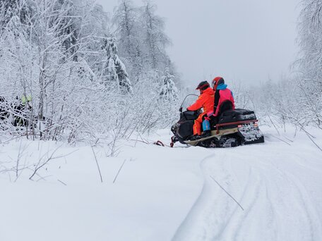 2025 AODES (Odes) Snowcross 1000, красный, 999000 рублей, вид 1