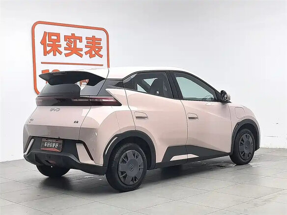 2024 BYD Seagull 30.08 kWh I, розовый - вид 2