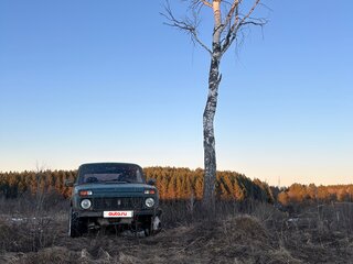 2009 Lada (ВАЗ) 2121 (4x4) I Рестайлинг, зелёный, 270000 рублей, вид 3