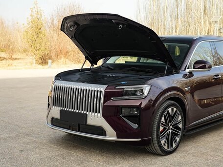 2026 Zeekr 8X 70 kWh, фиолетовый, 10950000 рублей, вид 2