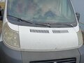 2014 Fiat Professional Ducato, белый, 1200000 рублей - вид 1