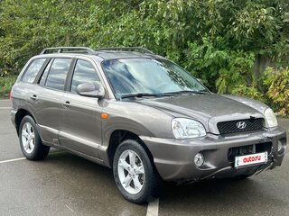2004 Hyundai Santa Fe I, серый, 310000 рублей, вид 1