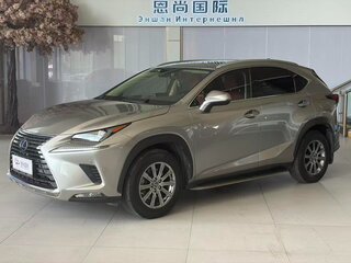 2021 Lexus NX 200 I Рестайлинг, серебристый, 2510000 рублей, вид 1