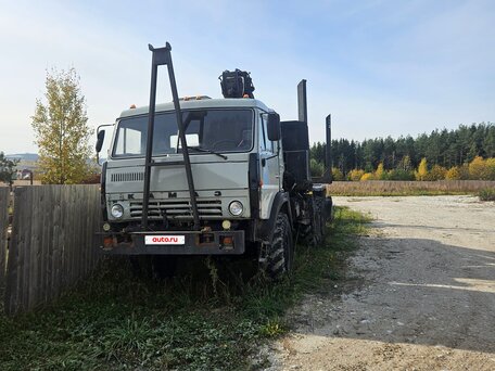 1990 КамАЗ 4310, серый, 2000000 рублей, вид 3