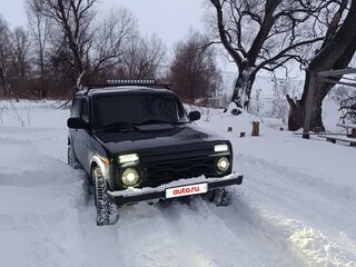 2015 Lada (ВАЗ) 2121 (4x4) I Рестайлинг, зелёный, 500000 рублей, вид 2