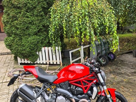 2019 Ducati Monster 1200, красный, 1080000 рублей, вид 1