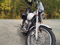 1996 Yamaha XVS400 Drag Star, белый, 299000 рублей