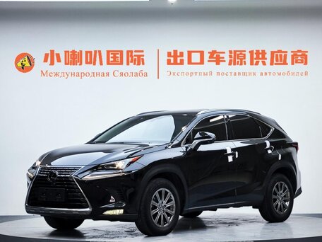 2021 Lexus NX 200 I Рестайлинг, чёрный, 2500000 рублей, вид 5