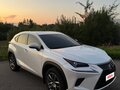 2018 Lexus NX 200 I Рестайлинг, белый, 3400000 рублей - вид 8