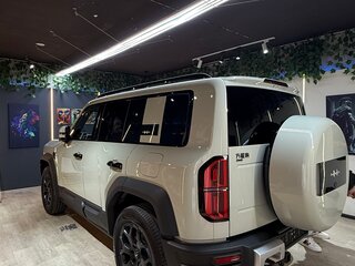 2025 BYD FangChengBao Leopard 5 I, зелёный, 5500000 рублей, вид 3