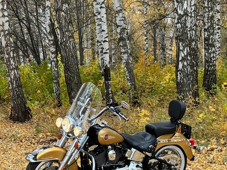 2017 Harley-Davidson Heritage, золотистый, 1290000 рублей, вид 5