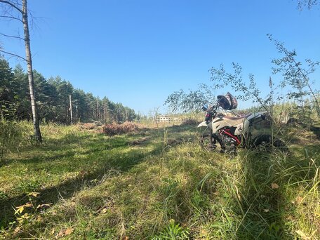 2014 Irbis TTR 125, белый, 105000 рублей, вид 3