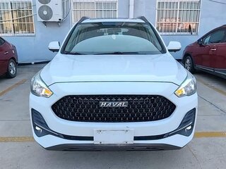 2019 Haval M6 I Рестайлинг, белый, 1210000 рублей, вид 2