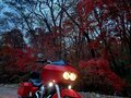 2001 Harley-Davidson Road Glide, красный, 770000 рублей - вид 10