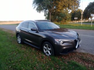 2020 Alfa Romeo Stelvio I, серый, 3250000 рублей, вид 2