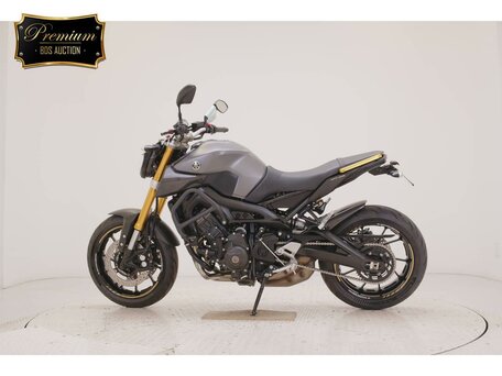 2015 Yamaha MT-09 (FZ-09), серый, 747000 рублей, вид 1