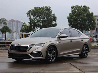 2023 Skoda Octavia IV (A8), бежевый, 1770000 рублей, вид 1