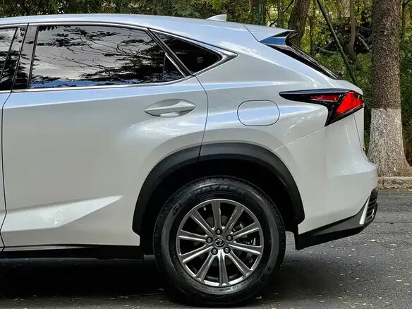2020 Lexus NX 200 I Рестайлинг, белый, 2764000 рублей - вид 17