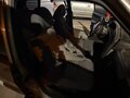 2005 Lada (ВАЗ) 2114, белый, 65000 рублей - вид 8