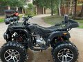 2026 Tiger Max Grade 300, чёрный, 170000 рублей