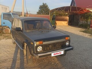 2007 Lada (ВАЗ) 2131 (4x4) Бронто-213102 I, серый, 345000 рублей, вид 1