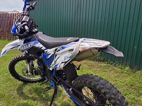 2025 Progasi Super Max 300, синий, 105000 рублей, вид 1