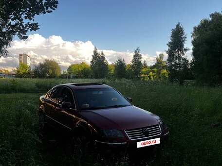 2001 Volkswagen Passat B5 Рестайлинг, пурпурный, 295000 рублей, вид 1